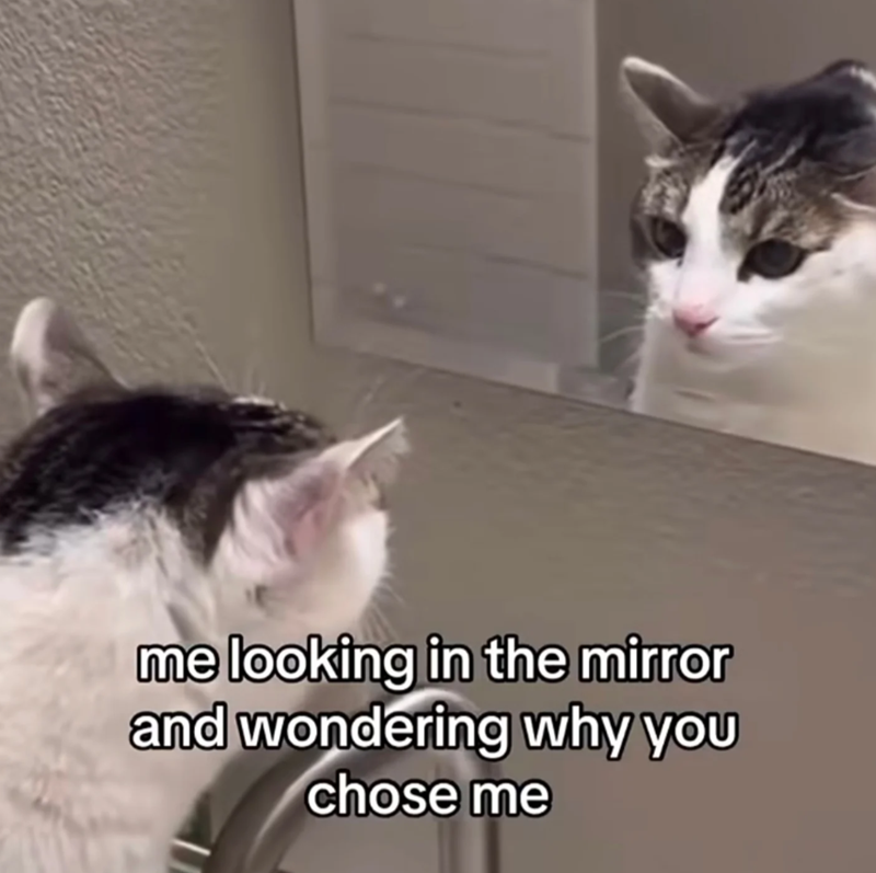 me looking in the mirror and wondering why you chose me