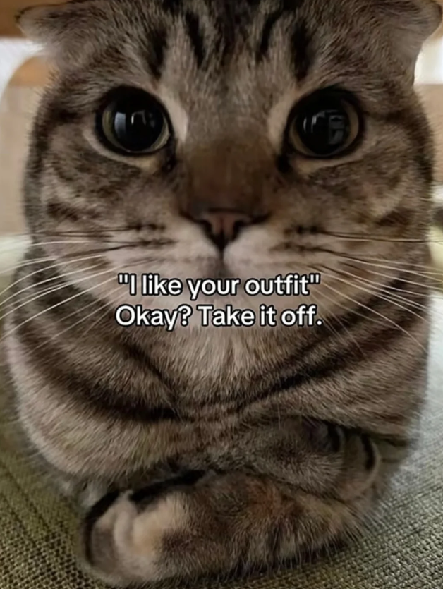 "I like your outfit" Okay? Take it off.