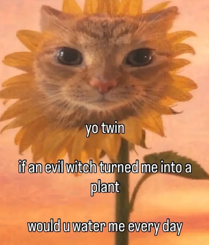 yo twin if an evil witch turned me into a plant would u water me every day