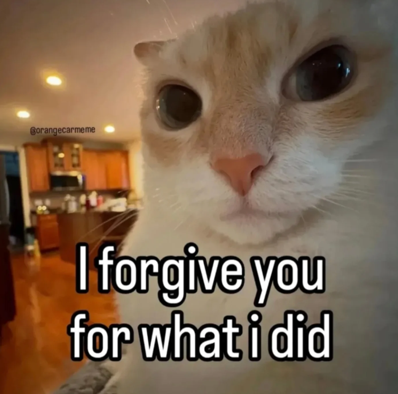 Borangecarmeme I forgive you for what i did