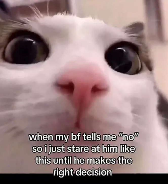 when my bf tells me "no" so i just stare at him like this until he makes the right decision