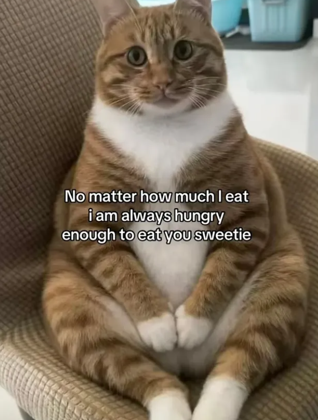 No matter how much I eat i am always hungry enough to eat you sweetie