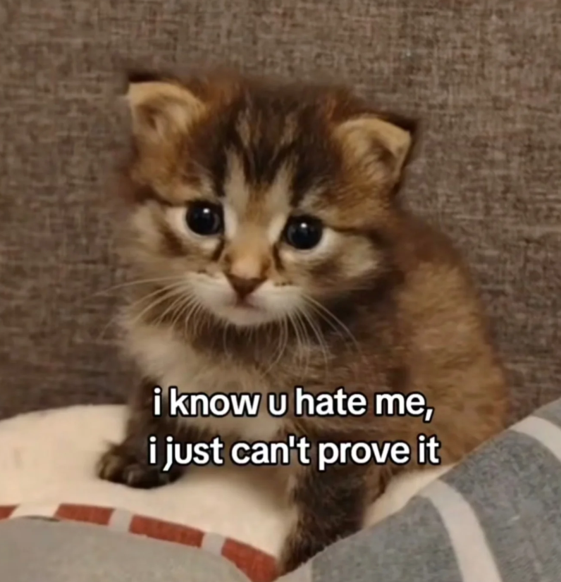 i know u hate me, i just can't prove it