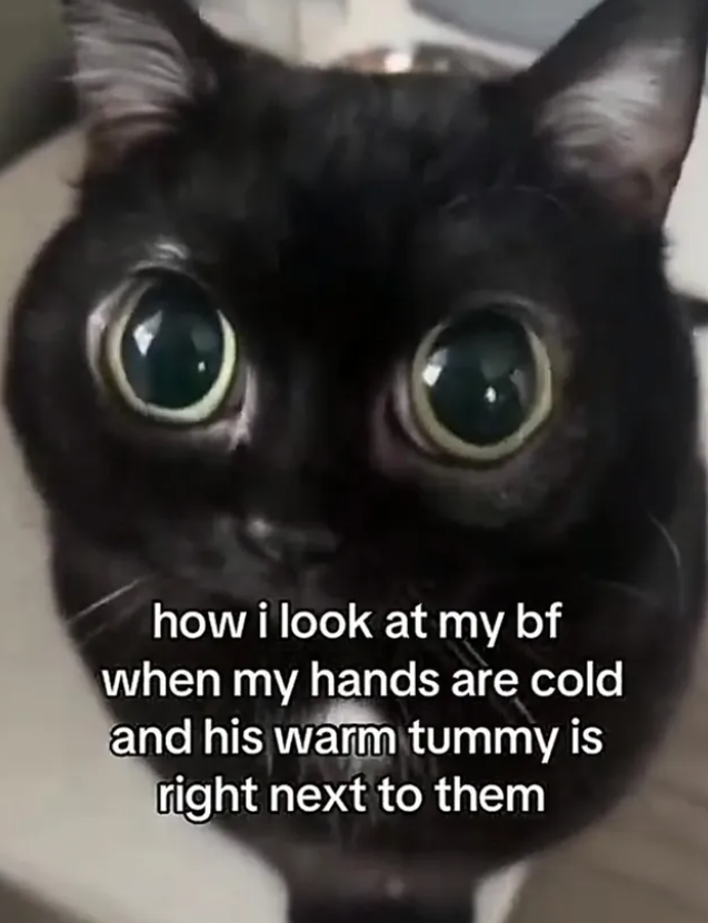 how i look at my bf when my hands are cold and his warm tummy is right next to them