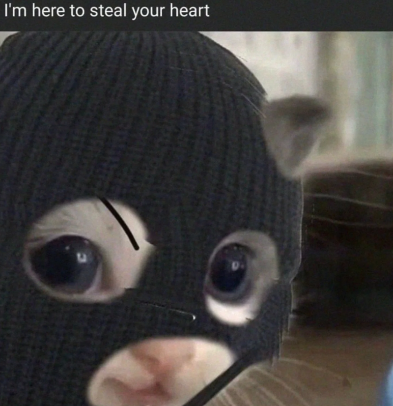 I'm here to steal your heart DA