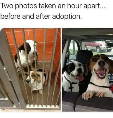 Two photos taken an hour apart.... before and after adoption.