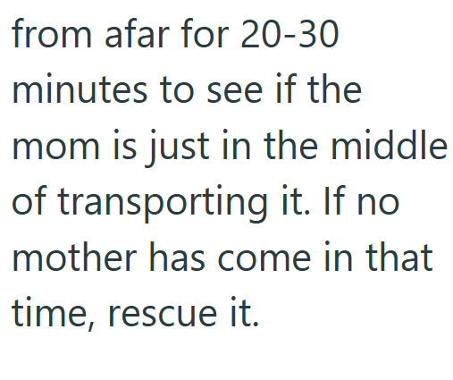 from afar for 20-30 minutes to see if the mom is just in the middle of transporting it. If no mother has come in that time, rescue it.