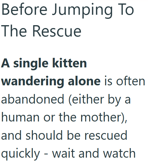 Before Jumping To The Rescue A single kitten wandering alone is often abandoned (either by a human or the mother), and should be rescued quickly - wait and watch