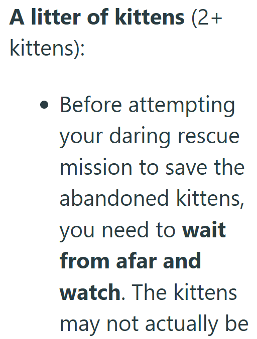 A litter of kittens (2+ kittens): • Before attempting your daring rescue mission to save the abandoned kittens, you need to wait from afar and watch. The kittens may not actually be