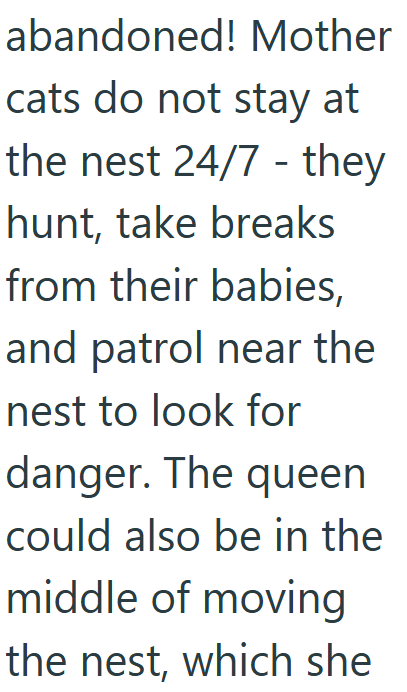 abandoned! Mother cats do not stay at the nest 24/7 - they hunt, take breaks from their babies, and patrol near the nest to look for danger. The queen could also be in the middle of moving the nest, which she
