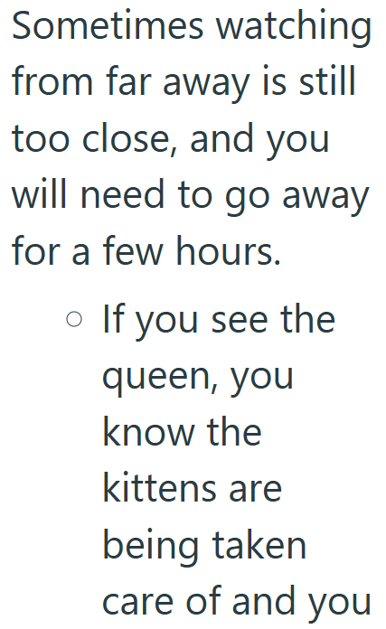 Sometimes watching from far away is still too close, and you will need to go away for a few hours. 。 If you see the queen, you know the kittens are being taken care of and you
