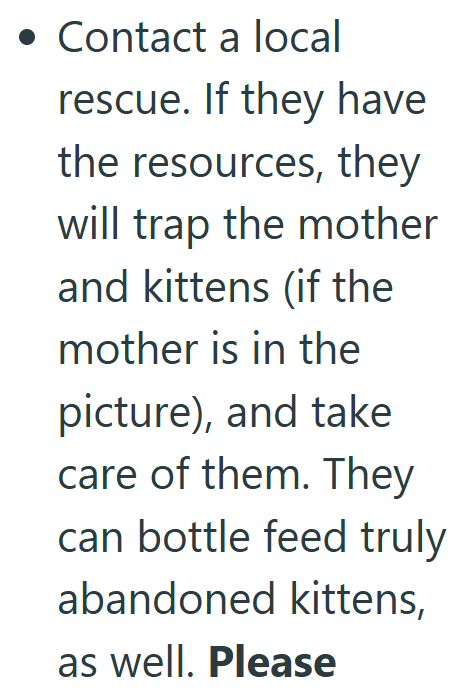 • Contact a local rescue. If they have the resources, they will trap the mother and kittens (if the mother is in the picture), and take care of them. They can bottle feed truly abandoned kittens, as well. Please