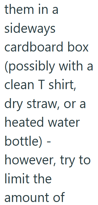 them in a sideways cardboard box (possibly with a clean T shirt, dry straw, or a heated water bottle) - however, try to limit the amount of