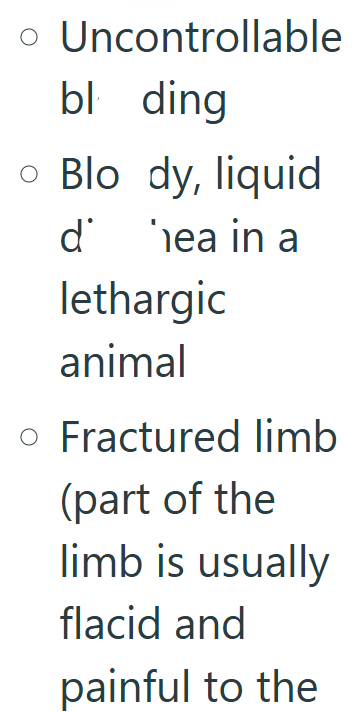 • Uncontrollable bl ding ○ Blo dy, liquid ď hea in a lethargic animal ○ Fractured limb (part of the limb is usually flacid and painful to the