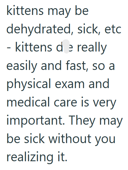 kittens may be dehydrated, sick, etc - - kittens de really easily and fast, so a physical exam and medical care is very important. They may be sick without you realizing it.