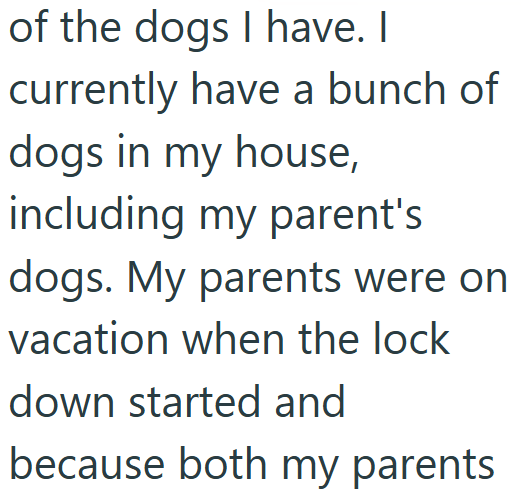 of the dogs I have. I currently have a bunch of dogs in my house, including my parent's dogs. My parents were on vacation when the lock down started and because both my parents