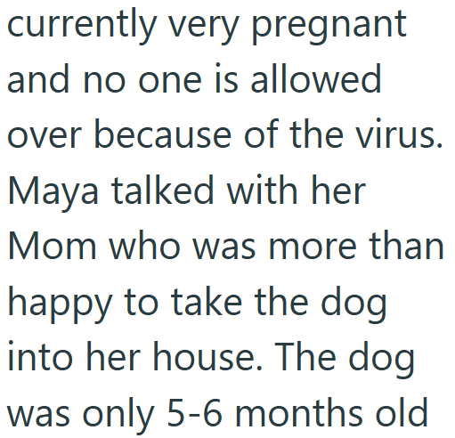 currently very pregnant and no one is allowed over because of the virus. Maya talked with her Mom who was more than happy to take the dog into her house. The dog was only 5-6 months old