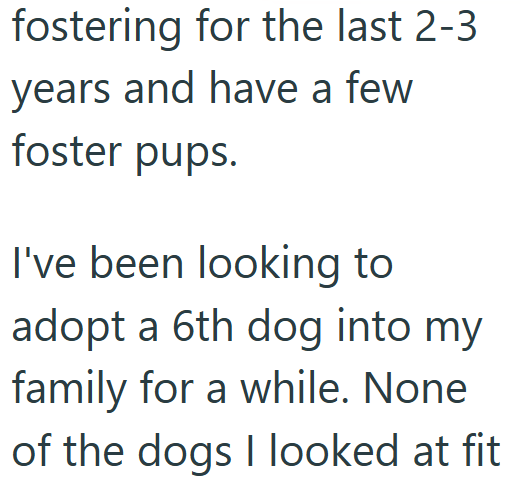 fostering for the last 2-3 years and have a few foster pups. I've been looking to adopt a 6th dog into my family for a while. None of the dogs I looked at fit