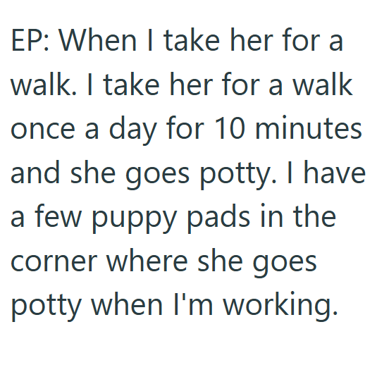 EP: When I take her for a walk. I take her for a walk once a day for 10 minutes and she goes potty. I have a few puppy pads in the corner where she goes potty when I'm working.