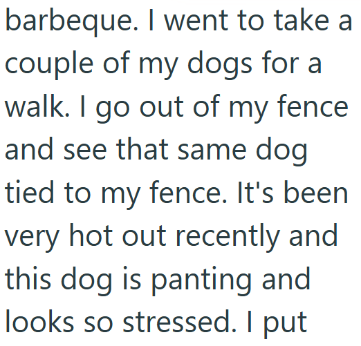 barbeque. I went to take a couple of my dogs for a walk. I go out of my fence and see that same dog tied to my fence. It's been very hot out recently and this dog is panting and looks so stressed. I put