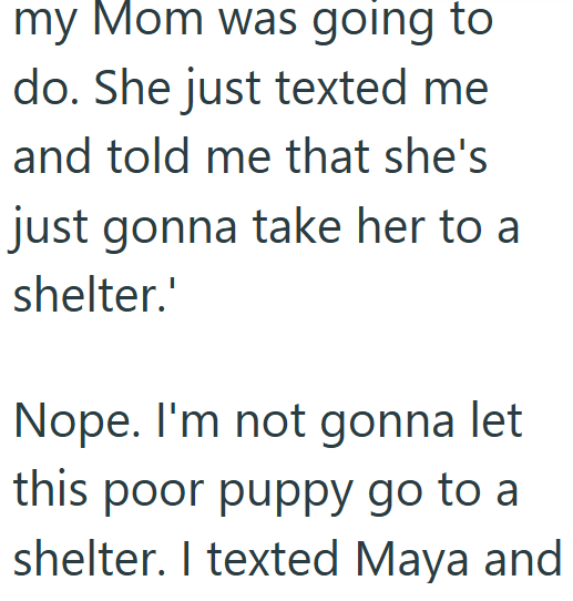 my Mom was going to do. She just texted me and told me that she's just gonna take her to a shelter.' Nope. I'm not gonna let this poor puppy go to a shelter. I texted Maya and
