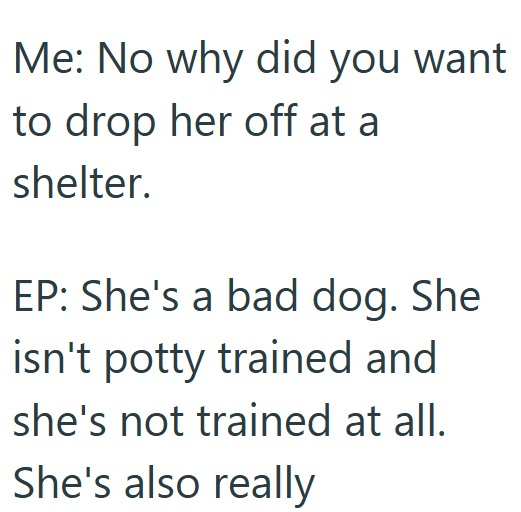 Me: No why did you want to drop her off at a shelter. EP: She's a bad dog. She isn't potty trained and she's not trained at all. She's also really