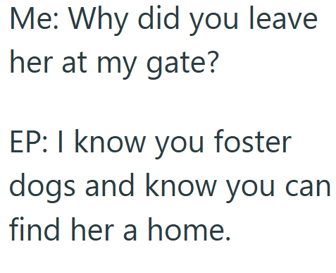 Me: Why did you leave her at my gate? EP: I know you foster dogs and know you can find her a home.