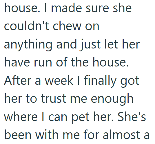 house. I made sure she couldn't chew on anything and just let her have run of the house. After a week I finally got her to trust me enough where I can pet her. She's been with me for almost a