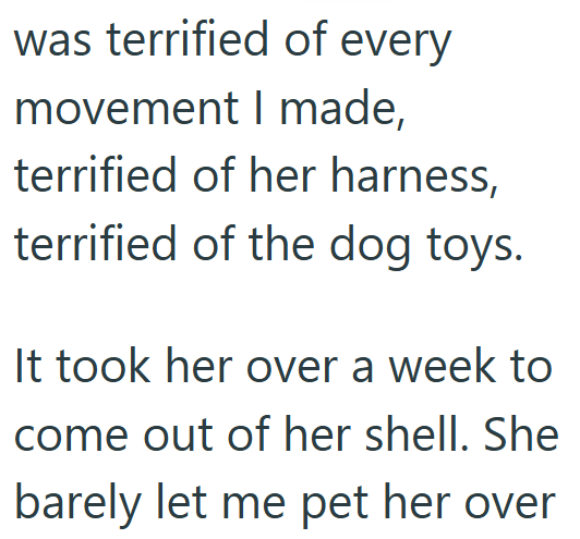 was terrified of every movement I made, terrified of her harness, terrified of the dog toys. It took her over a week to come out of her shell. She barely let me pet her over