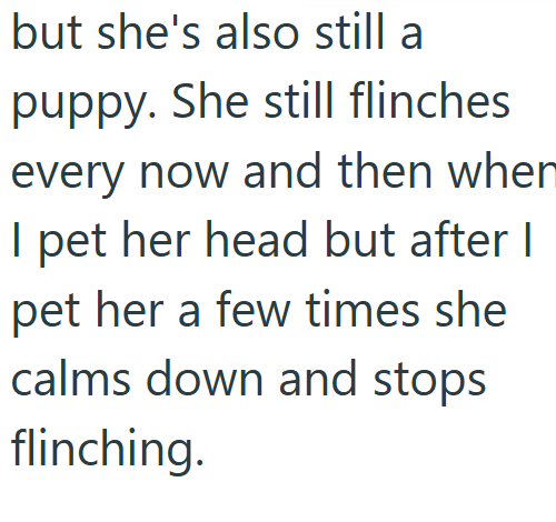 but she's also still a puppy. She still flinches every now and then wher I pet her head but after I pet her a few times she calms down and stops flinching.