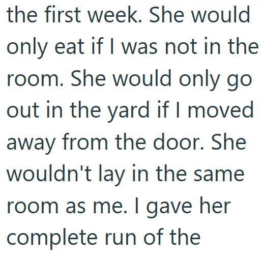 the first week. She would only eat if I was not in the room. She would only go out in the yard if I moved away from the door. She wouldn't lay in the same room as me. I gave her complete run of the