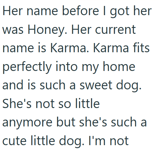 Her name before I got her was Honey. Her current name is Karma. Karma fits perfectly into my home and is such a sweet dog. She's not so little anymore but she's such a cute little dog. I'm not