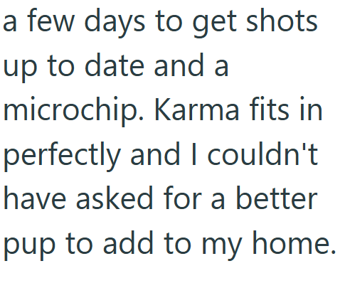 a few days to get shots up to date and a microchip. Karma fits in perfectly and I couldn't have asked for a better pup to add to my home.