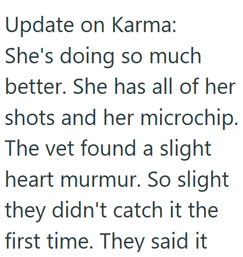 Update on Karma: She's doing so much better. She has all of her shots and her microchip. The vet found a slight heart murmur. So slight they didn't catch it the first time. They said it
