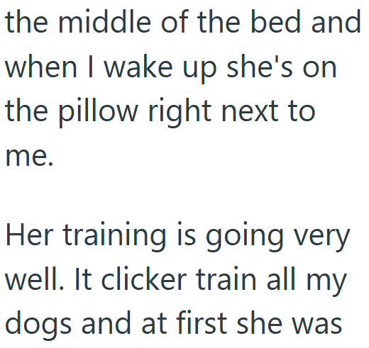 the middle of the bed and when I wake up she's on the pillow right next to me. Her training is going very well. It clicker train all my dogs and at first she was