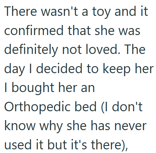 There wasn't a toy and it confirmed that she was definitely not loved. The day I decided to keep her I bought her an Orthopedic bed (I don't know why she has never used it but it's there),