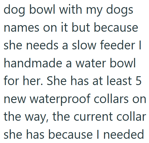 dog bowl with my dogs names on it but because she needs a slow feeder I handmade a water bowl for her. She has at least 5 new waterproof collars on the way, the current collar she has because I needed