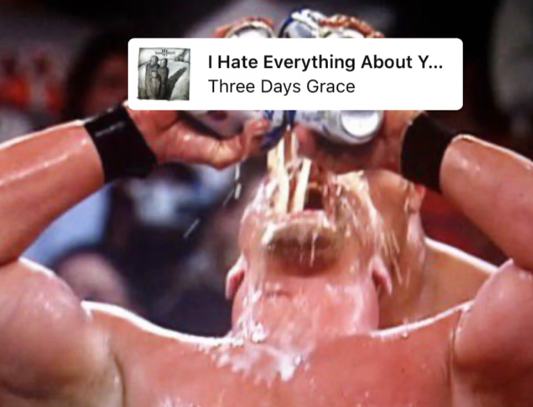 I Hate Everything About Y... Three Days Grace