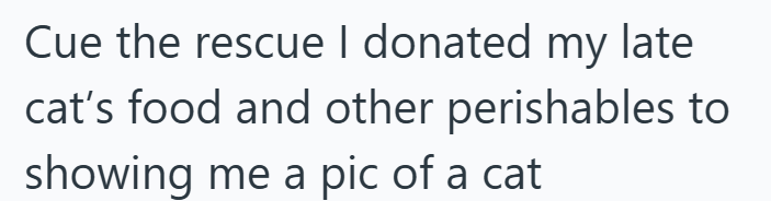 Cue the rescue I donated my late cat's food and other perishables to showing me a pic of a cat