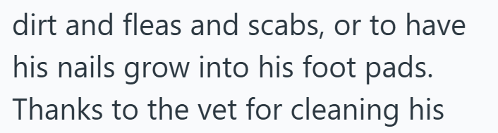 dirt and fleas and scabs, or to have his nails grow into his foot pads. Thanks to the vet for cleaning his