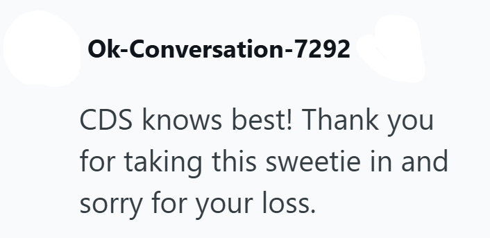Ok-Conversation-7292 CDS knows best! Thank you for taking this sweetie in and sorry for your loss.