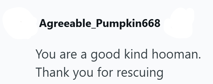 Agreeable Pumpkin668 You are a good kind hooman. Thank you for rescuing
