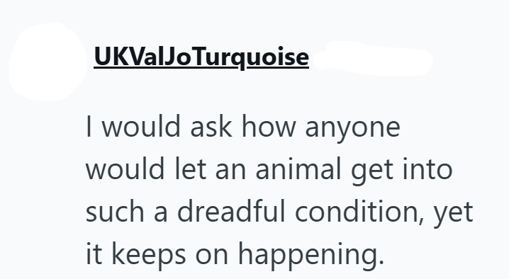 UKValJo Turquoise I would ask how anyone would let an animal get into such a dreadful condition, yet it keeps on happening.