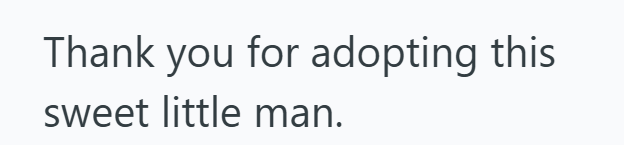 Thank you for adopting this sweet little man.