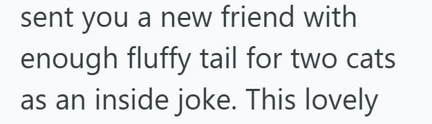 sent you a new friend with enough fluffy tail for two cats as an inside joke. This lovely