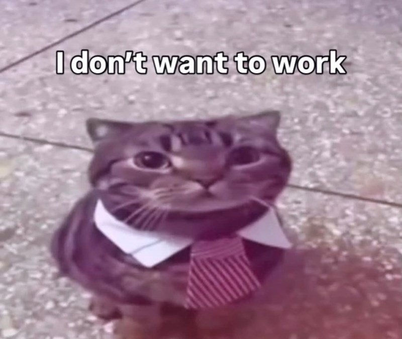 I don't want to work