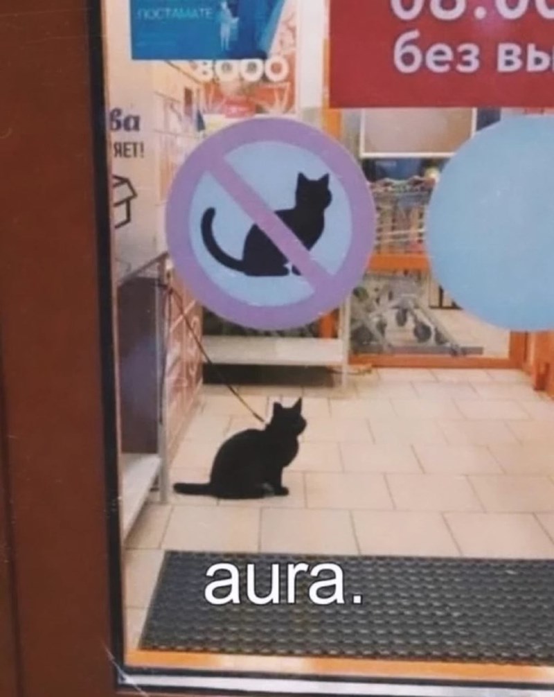 NOCTAMATE Ba ЯЕТ! 7 8000 311 без вь aura.