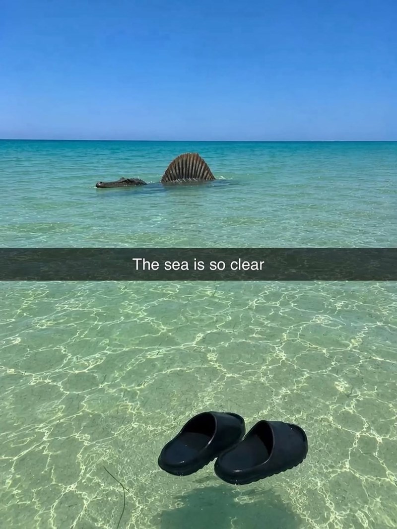 The sea is so clear