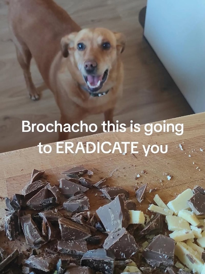 Brochacho this is going to ERADICATE you