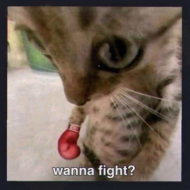 BRA states PIDGRICA wanna fight?